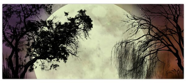 Obraz - Spln nad hladinou (120x50 cm)
