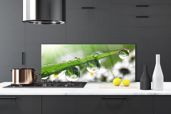 Sklenený obklad Do kuchyne Tráva rosa kvapky príroda 125x50 cm