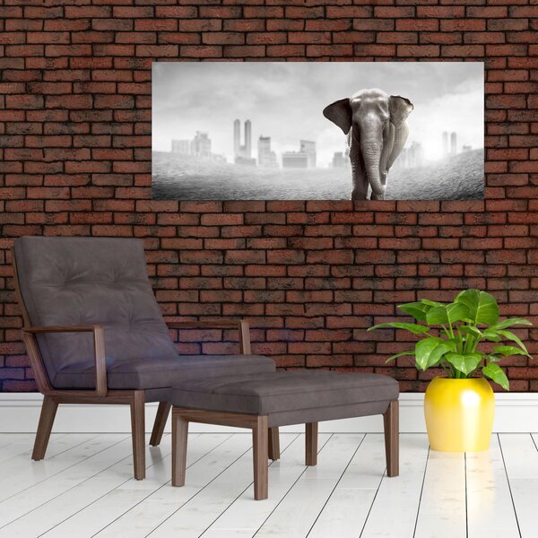 Obraz - Sloník vo veľkomeste, čiernobiely variant (120x50 cm)