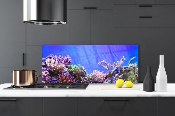 Sklenený obklad Do kuchyne Koralový útes príroda 125x50 cm
