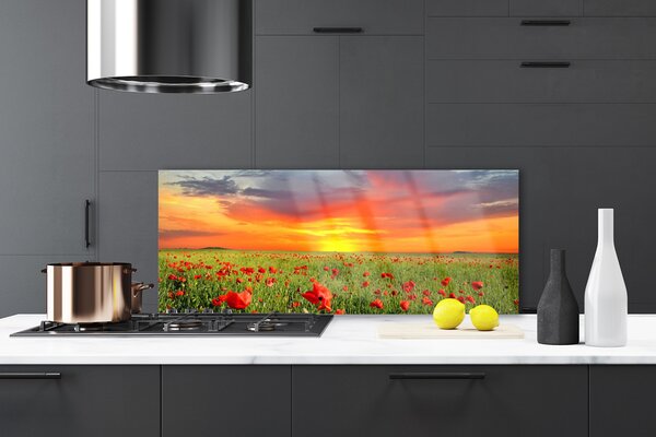 Sklenený obklad Do kuchyne Maky slnko rastlina príroda 125x50 cm