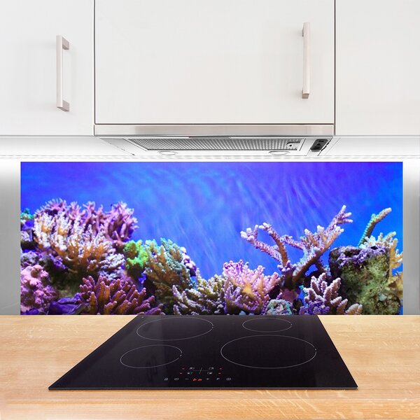 Sklenený obklad Do kuchyne Koralový útes príroda 125x50 cm