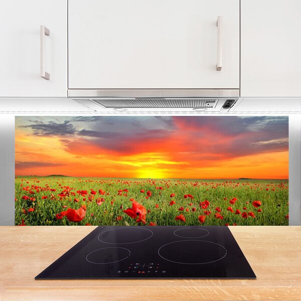 Sklenený obklad Do kuchyne Maky slnko rastlina príroda 125x50 cm
