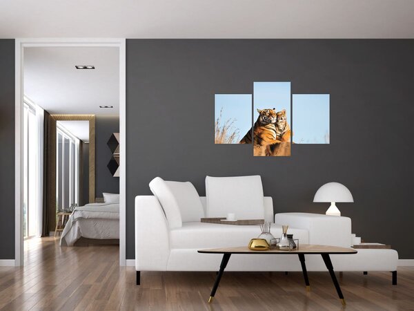 Obraz - Tigrice a jej mláďa (90x60 cm)