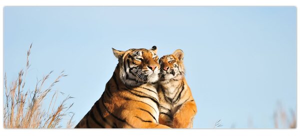 Obraz - Tigrice a jej mláďa (120x50 cm)