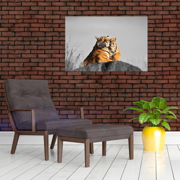 Obraz - Tigrice a jej mláďa, čiernobiely variant (90x60 cm)