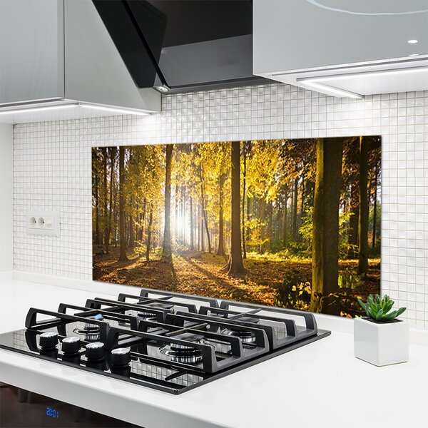 Sklenený obklad Do kuchyne Les listy rastlina príroda 120x60 cm