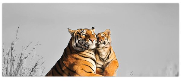 Obraz - Tigrice a jej mláďa, čiernobiely variant (120x50 cm)