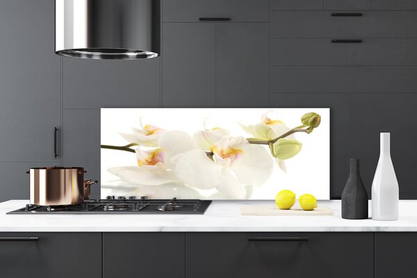 Sklenený obklad Do kuchyne Kvety rastlina príroda 125x50 cm
