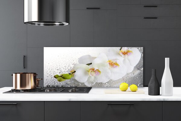 Sklenený obklad Do kuchyne Kvety rastlina príroda 125x50 cm