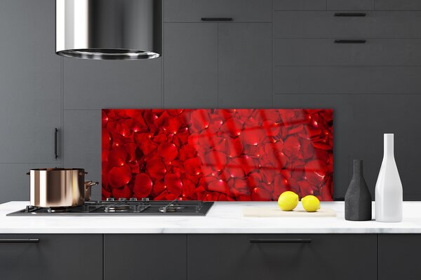 Sklenený obklad Do kuchyne Plátky rastlina príroda 125x50 cm