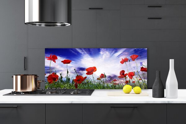 Sklenený obklad Do kuchyne Maky rastlina príroda 125x50 cm