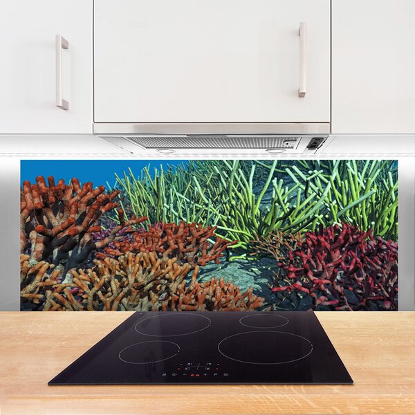Sklenený obklad Do kuchyne Koralový útes príroda 125x50 cm