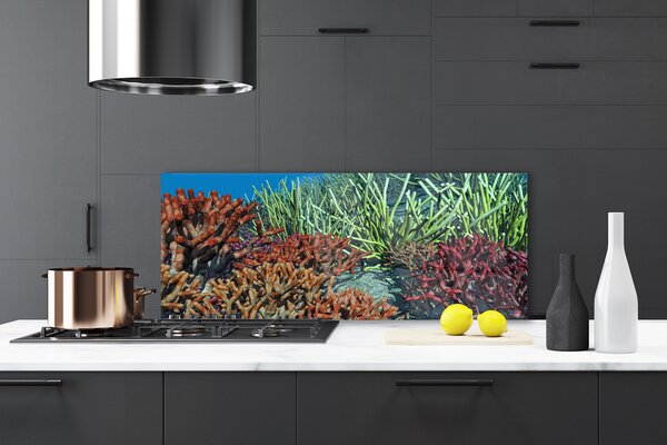 Sklenený obklad Do kuchyne Koralový útes príroda 125x50 cm