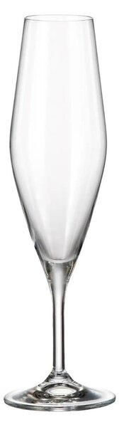 Bohemia Crystal Poháre na šampanské Gavia 210 ml (súprava 6 ks)