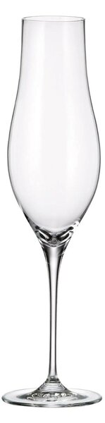 Bohemia Crystal Pohár na šampanské Limosa 300ml (set po 6ks)