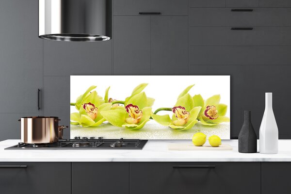 Sklenený obklad Do kuchyne Kvety rastlina príroda 125x50 cm