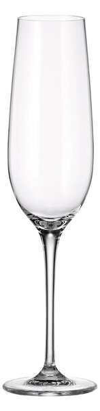 Bohemia Crystal poháre na šampanské Uria 270 ml