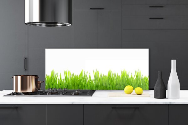 Sklenený obklad Do kuchyne Tráva rastlina príroda 125x50 cm