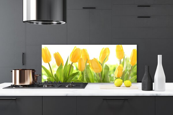 Sklenený obklad Do kuchyne Tulipány kvety rastlina 125x50 cm