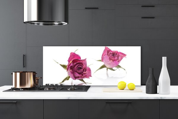 Sklenený obklad Do kuchyne Ruže kvety rastlina 125x50 cm