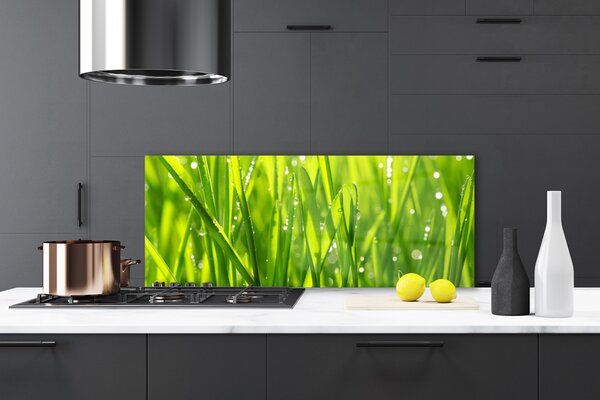 Sklenený obklad Do kuchyne Tráva rastlina príroda 125x50 cm