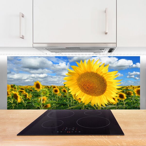 Sklenený obklad Do kuchyne Slnečnica kvet rastlina 125x50 cm