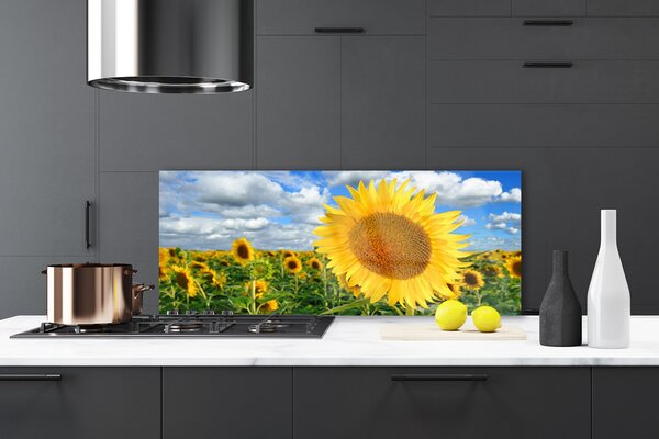 Sklenený obklad Do kuchyne Slnečnica kvet rastlina 125x50 cm