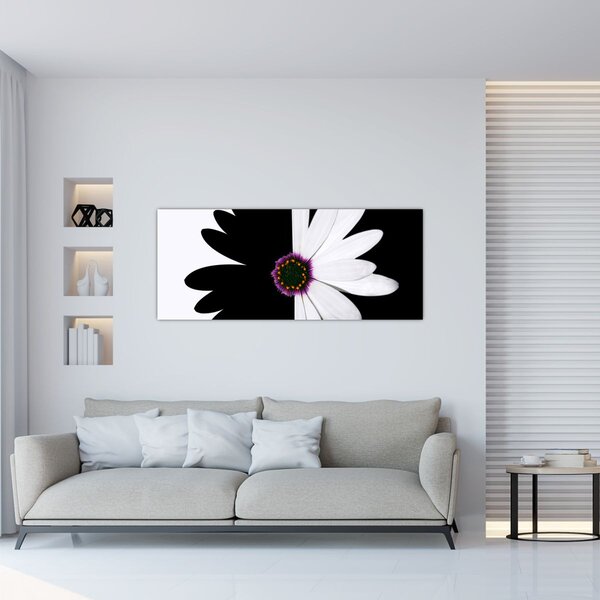 Obraz čiernobieleho kvetu (120x50 cm)