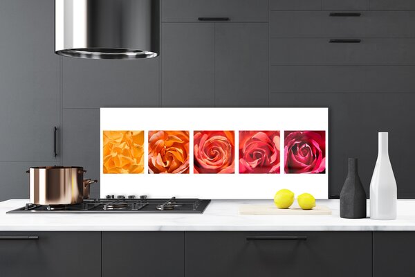 Sklenený obklad Do kuchyne Ruže kvety rastlina 125x50 cm