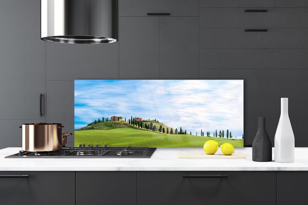 Sklenený obklad Do kuchyne Lúka stromy príroda 125x50 cm
