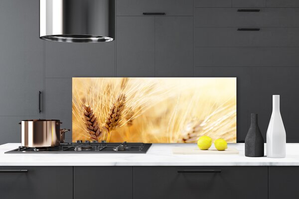 Sklenený obklad Do kuchyne Pšenica rastlina príroda 125x50 cm