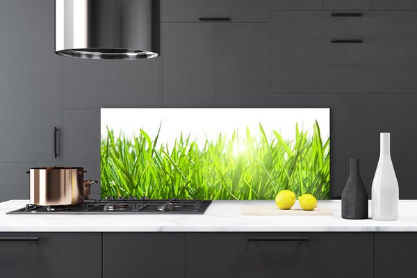 Sklenený obklad Do kuchyne Tráva rastlina príroda 125x50 cm