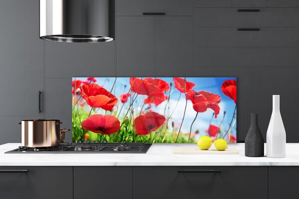 Sklenený obklad Do kuchyne Maky rastlina príroda 125x50 cm