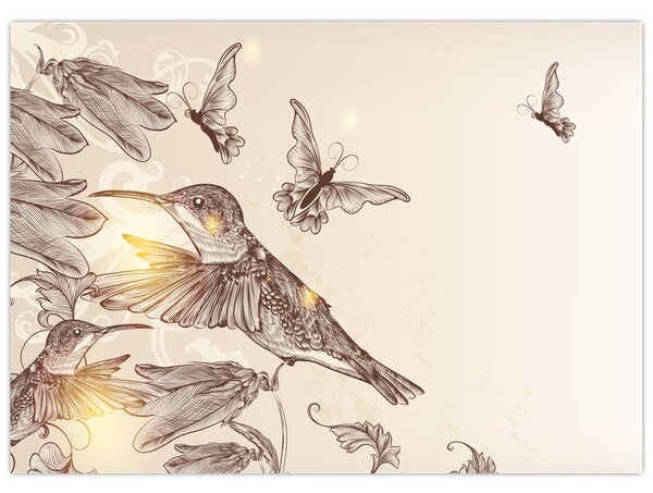 Obraz - Kolibríky (70x50 cm)