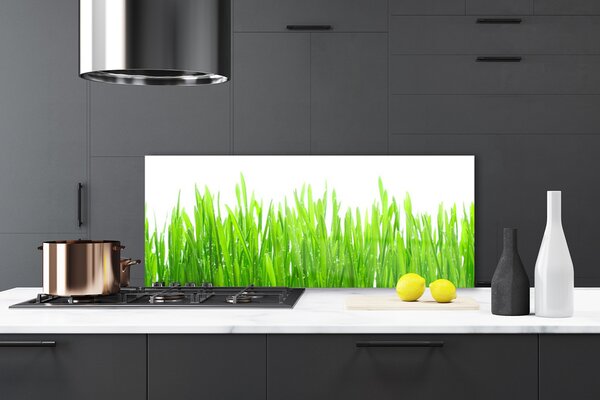 Sklenený obklad Do kuchyne Tráva rastlina príroda 125x50 cm