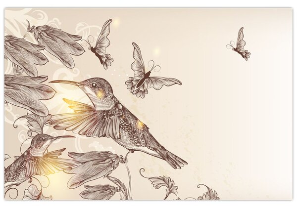 Obraz - Kolibríky (90x60 cm)