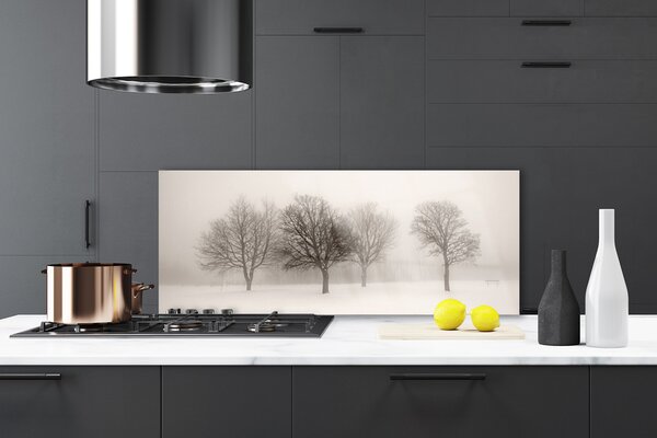 Sklenený obklad Do kuchyne Sneh stromy príroda 125x50 cm