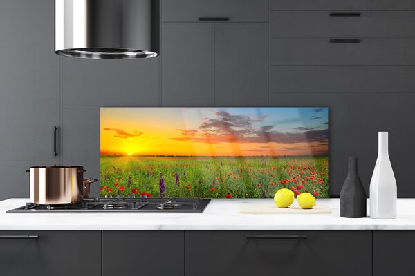 Sklenený obklad Do kuchyne Slnko lúka kvety príroda 125x50 cm