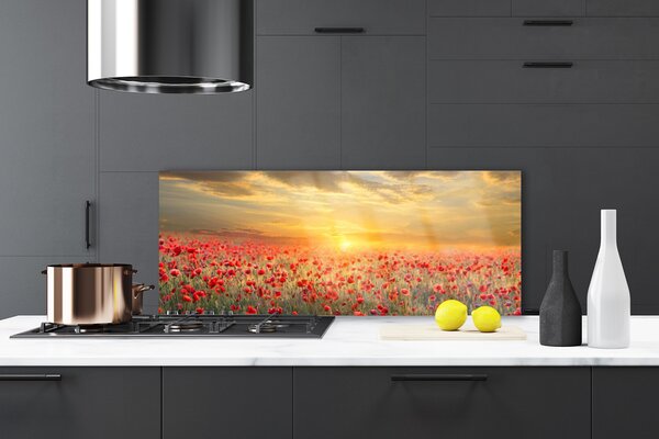 Sklenený obklad Do kuchyne Slnko lúka mak kvety 125x50 cm