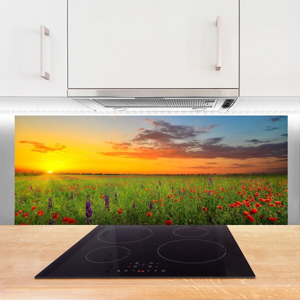 Sklenený obklad Do kuchyne Slnko lúka kvety príroda 125x50 cm