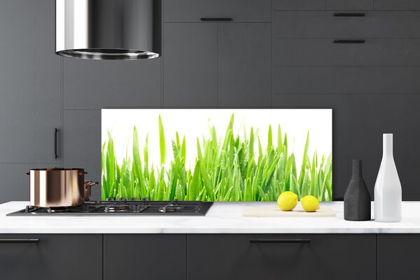 Sklenený obklad Do kuchyne Tráva rastlina príroda 125x50 cm