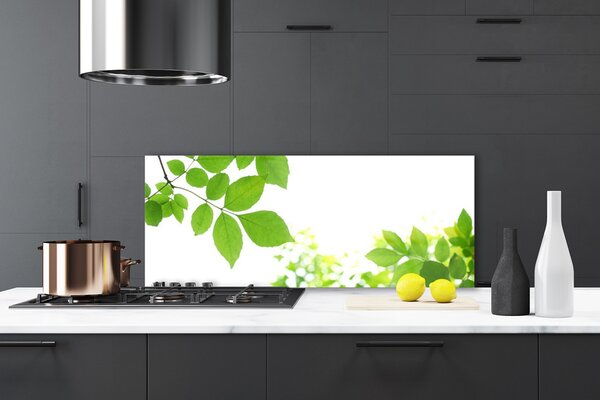Sklenený obklad Do kuchyne Plátky rastlina príroda 125x50 cm