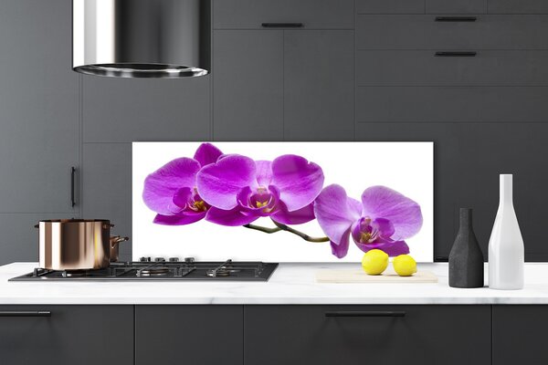 Sklenený obklad Do kuchyne Kvety rastlina príroda 125x50 cm