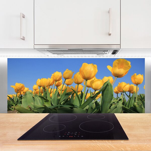 Sklenený obklad Do kuchyne Tulipány kvety rastlina 125x50 cm