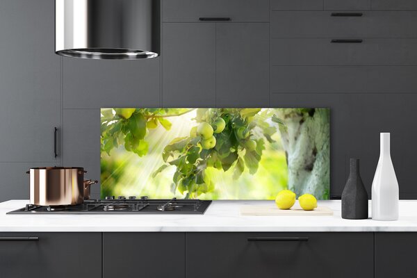 Sklenený obklad Do kuchyne Jablká vetva strom príroda 125x50 cm