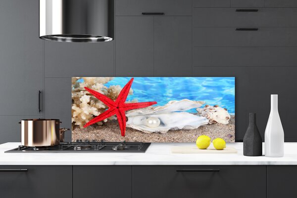 Sklenený obklad Do kuchyne Hviezdice mušle príroda 125x50 cm