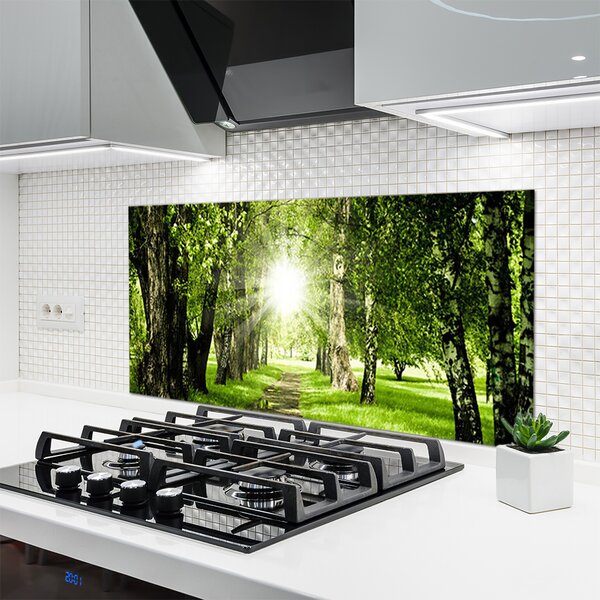 Sklenený obklad Do kuchyne Les slnko chodník príroda 120x60 cm