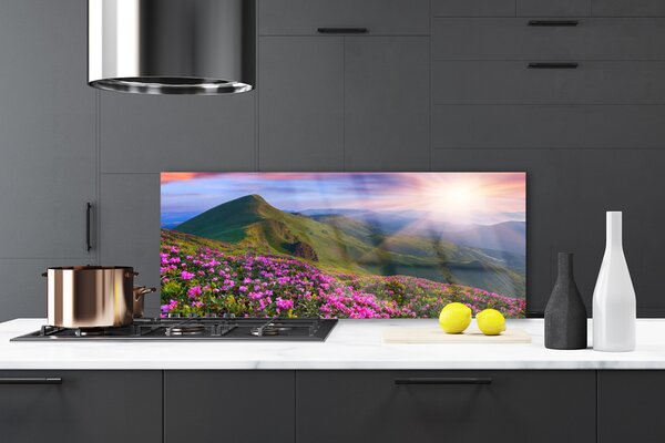 Sklenený obklad Do kuchyne Hory lúka kvety príroda 125x50 cm