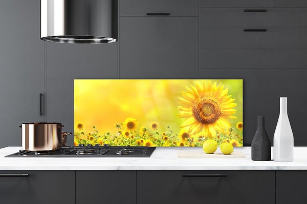 Sklenený obklad Do kuchyne Slnečnica kvet rastlina 125x50 cm